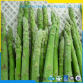 Зеленая замороженная спаржа замороженные овощи